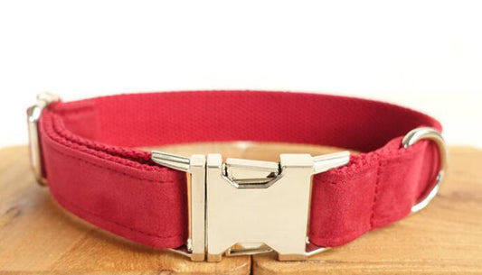 Pet Traction Collar Dog Collar