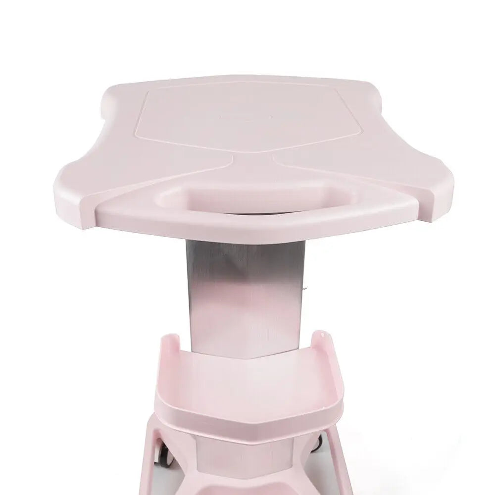 Mobile Salon Trolley Stand W/ Wheel Barber Shop Beauty Tool Storage Tray Pink/White Rolling Cart Shelf Hairdressing Supplies